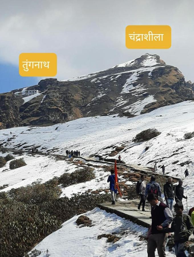 Pandava'S Cafe & Stay Chopta Ngoại thất bức ảnh